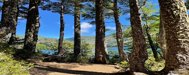 Fundamentos filosóficos para una ecosuicidología