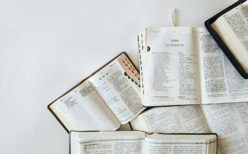 Curso de Gestión de la diversidad religiosa: Entre la globalización y la política local