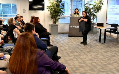 Representación gráfica